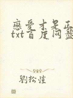 恋爱才是正经事txt百度网盘