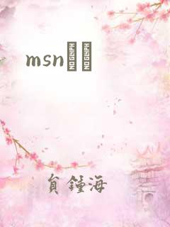 msnС˵