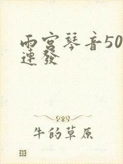 雨宫琴音500连发