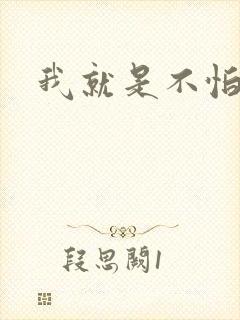 我就是不怕小说