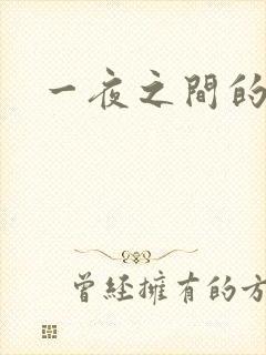一夜之间的天才