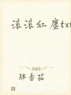 滚滚红尘txt