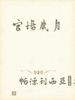 官场岁月