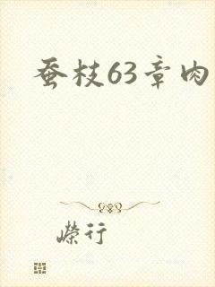 蚕枝63章肉