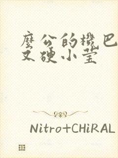 么公的机巴又粗又硬小莹