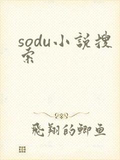 sodu小说搜索