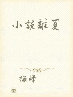 小说离夏