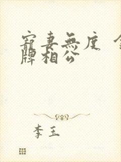 宠妻无度  金牌相公