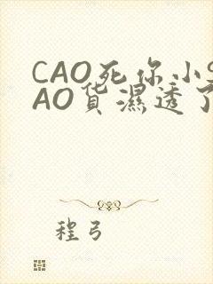 CAO死你小SAO货湿透了学长