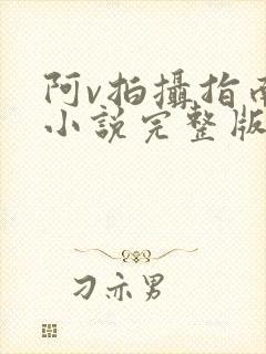 阿v拍摄指南说小说完整版