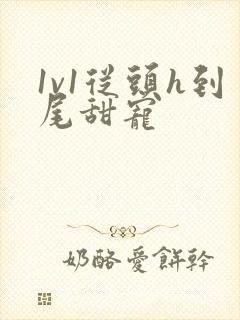 1v1从头h到尾甜宠