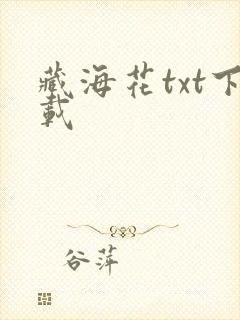 藏海花txt下载