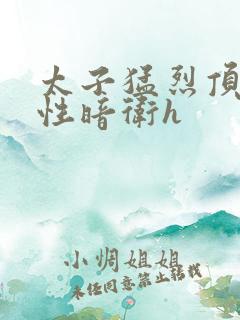 太子猛烈顶弄双性暗卫h