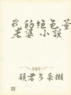 我的绝色董事长老婆 小说