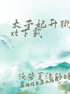 太子妃升职记txt下载