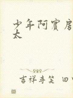 少年阿宾房东太太