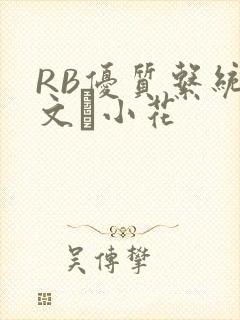 RB优质系统全文寀小花