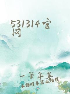 531314官网