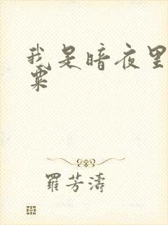 我是暗夜里的罂粟