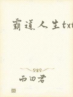 霸道人生txt