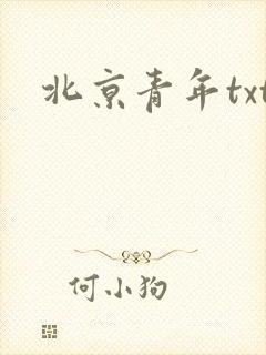 北京青年txt