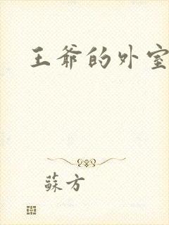 王爷的外室