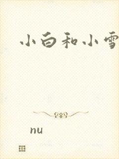 小白和小雪