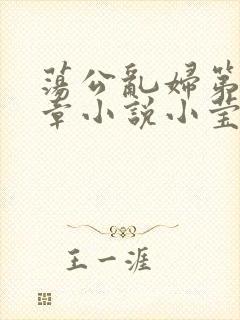 荡公乱妇第51章小说小莹