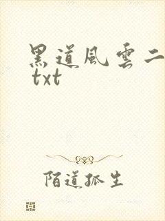 黑道风云二十年 txt