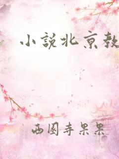 小说北京教父