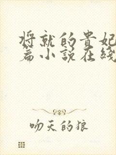 将就的贵妃重生篇小说在线阅读