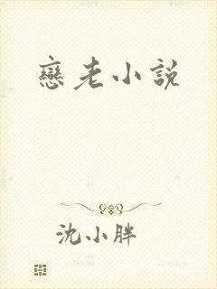 恋老小说