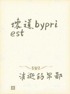 坏道bypriest