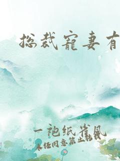 总裁宠妻有点忙