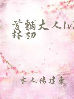 首辅大人1v2林初