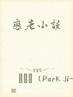 恋老小说