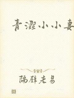 青涩小小妻