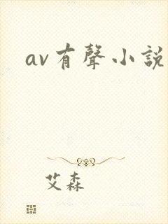 av有声小说