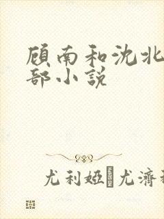 顾南和沈北是哪部小说