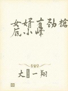 女婿有劲枪枪到底小峰