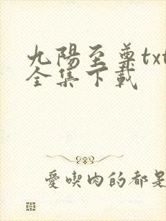 九阳至尊txt全集下载