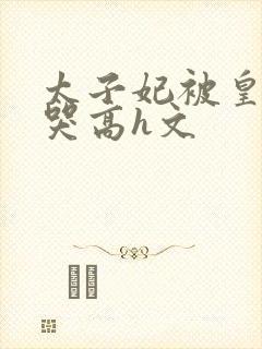 太子妃被皇上c哭高h文