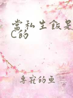 当私生饭是要挨C的