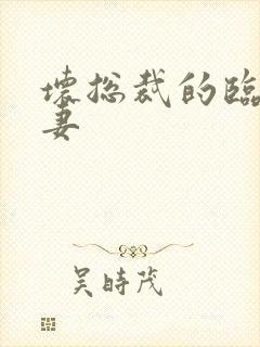 坏总裁的临时娇妻