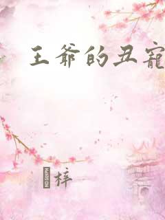 王爷的丑宠