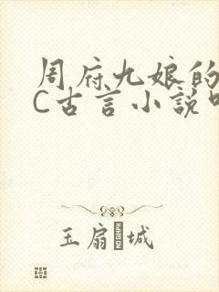 周府九娘的NPC古言小说叫什么