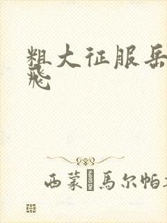 粗大征服岳女双飞