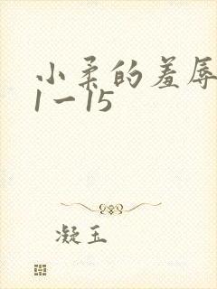 小柔的羞辱日记1一15