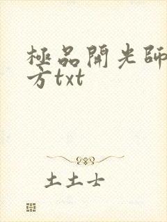 极品开光师李南方txt