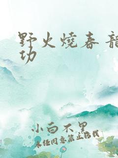 野火烧春 龙鸣功
